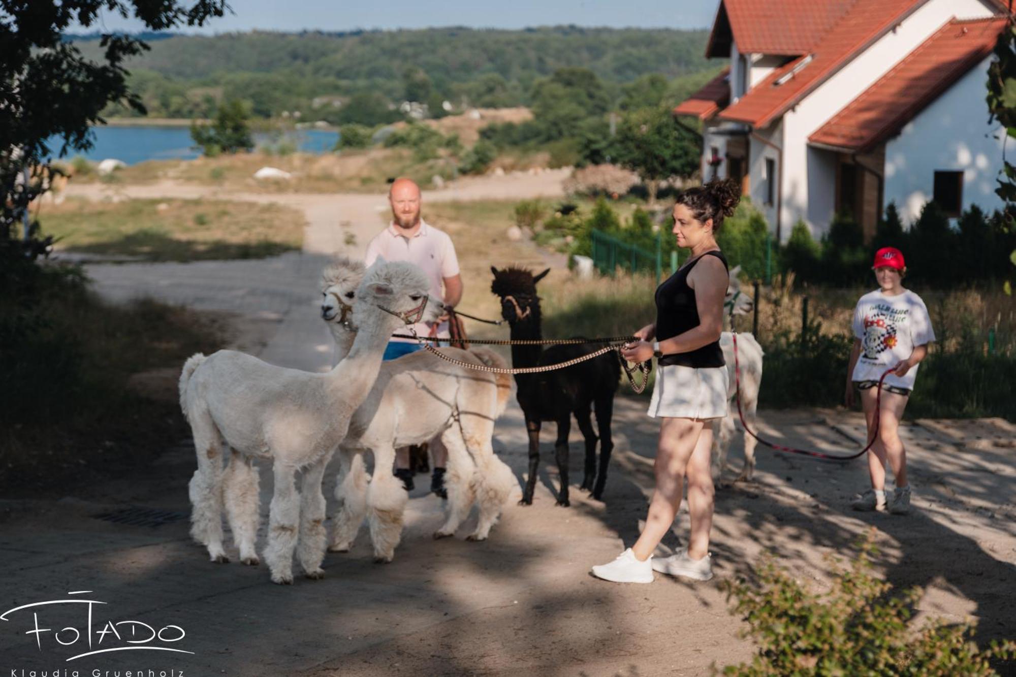Domek Na Slonecznikowej Хмельно Экстерьер фото