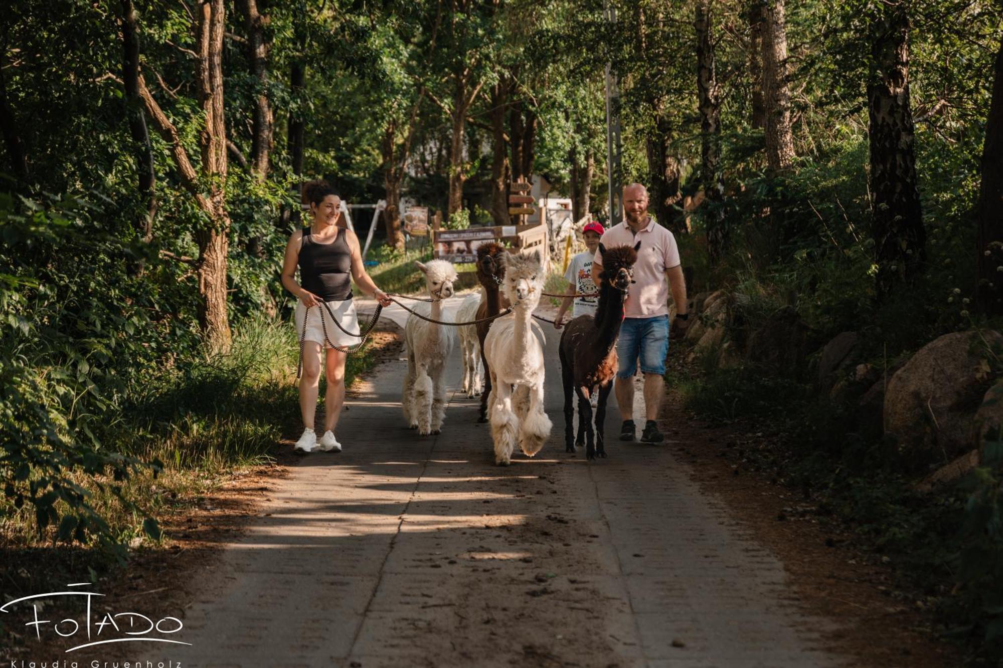 Domek Na Slonecznikowej Хмельно Экстерьер фото